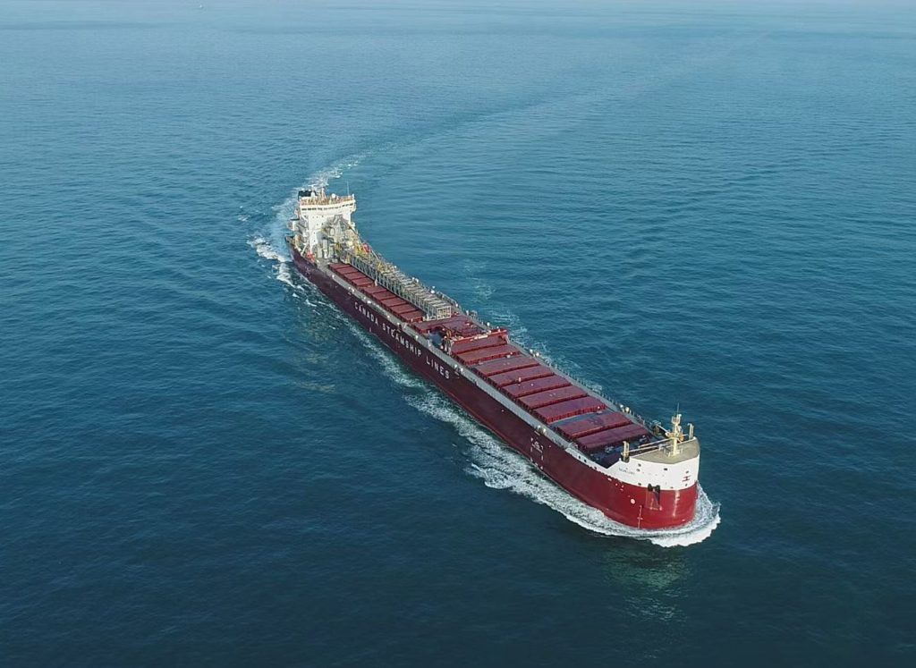 Bulk and product carrier
